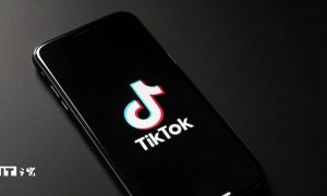 特朗普称“极有可能”在就职后将 TikTok 禁令延期 90 天