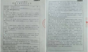 目睹母亲过马路被车撞，27岁女子受惊吓5天后身亡